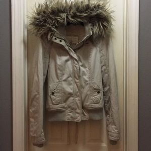 Hollister Coat